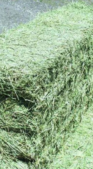 Ptess sotiladi Katta katta boylangan