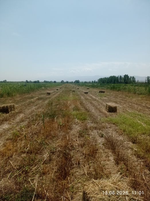 Поля 8.84 гектар