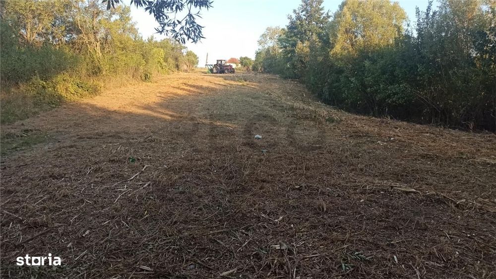 RECO Teren intravilan Husasau de Cris