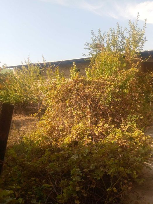 Ховлили Уй жой участка 5-сотих