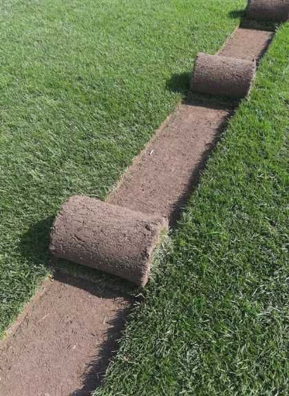 Gazon Rulou Calitate extra