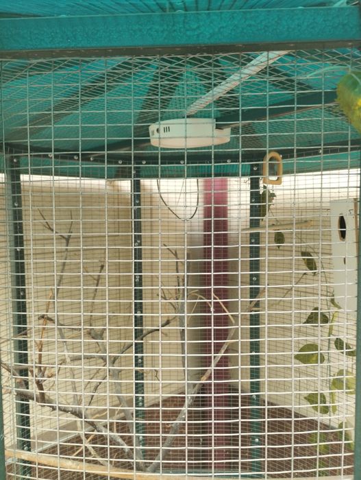 Қушлар учун ин. Дом для птиц