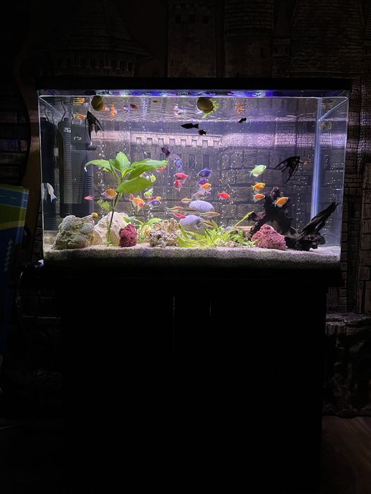Продам аквариум на 130 литров под ключ
