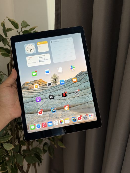 Ipad pro 12.9 inch 2015