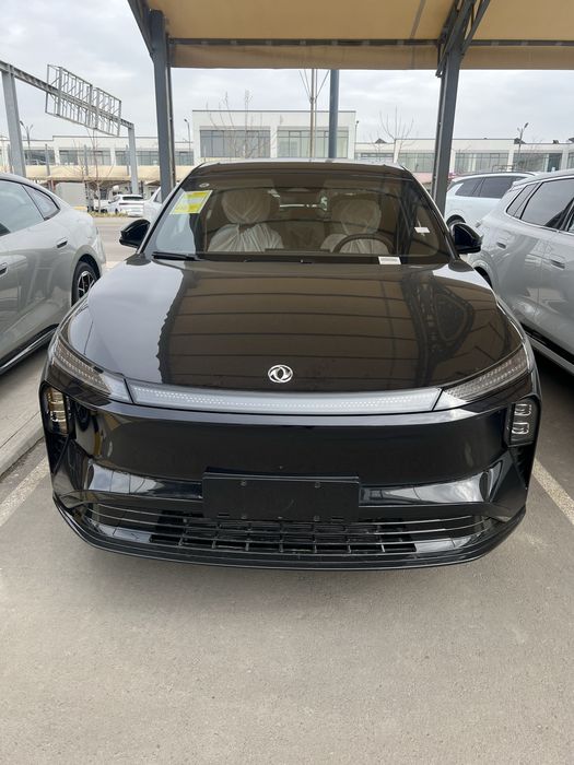 Dong feng Feng sheng L8