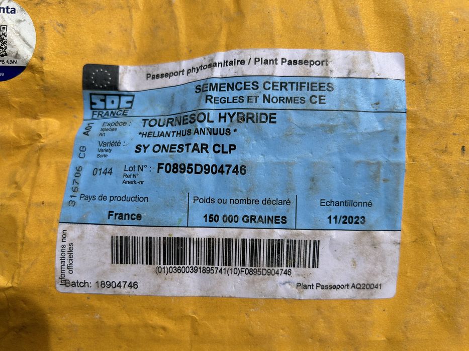 seminte de floarea soarelui