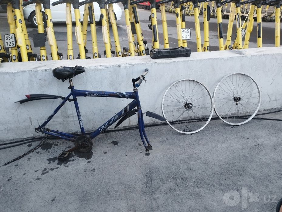 Veliga zapchas sotiladi