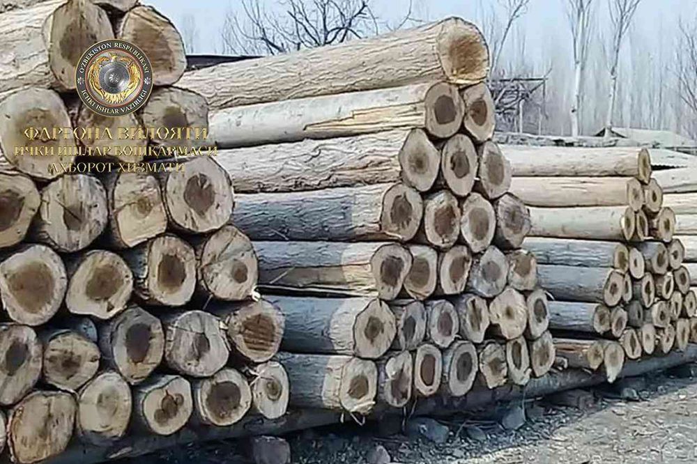 Тераклар бор 10 йиллик 10 млн 22 та