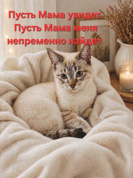 Маленькое тайское счастье .Сонечка.4,5 месяца