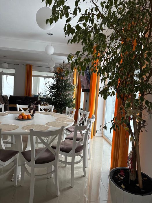 Cabana de inchiriat colibita villa DiDi