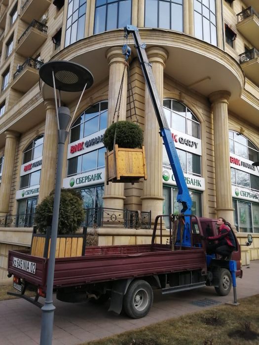 Услуги маленького манипулятора