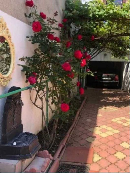 Proprietar, PIATA MUNCII, casa 3 camere de inchiriat, singur in curte