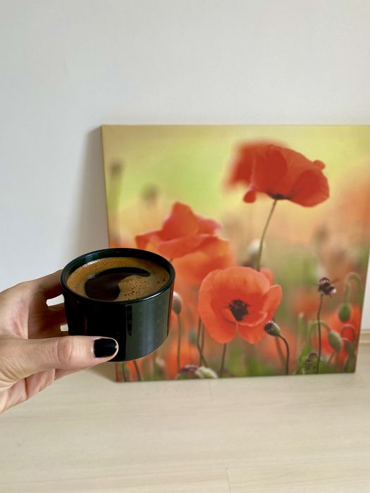 Tablou cu maci pe pânză