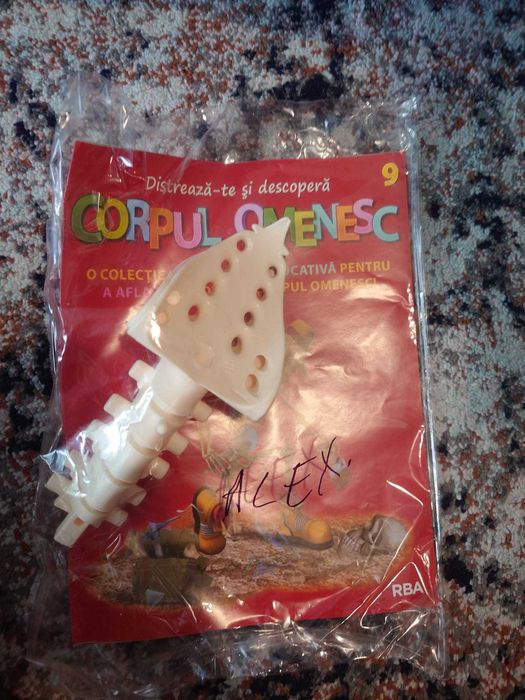 Numere din Revista Corpul Omenesc