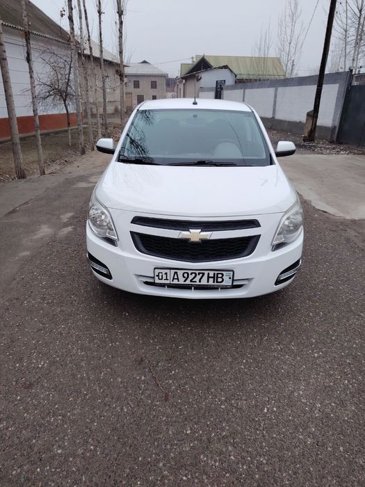 Cobalt yurish turishi zor