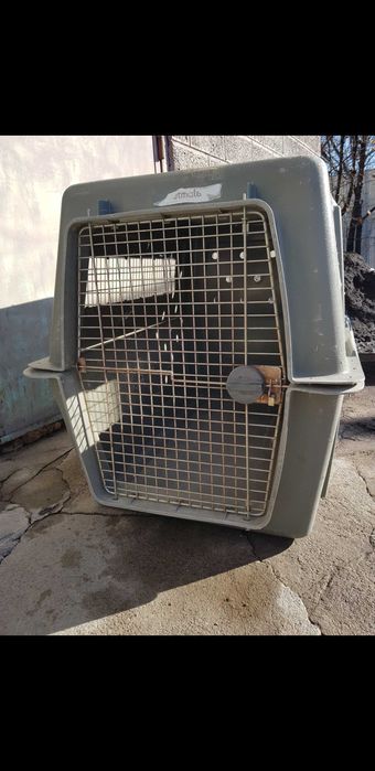Бокс для перевозки собак