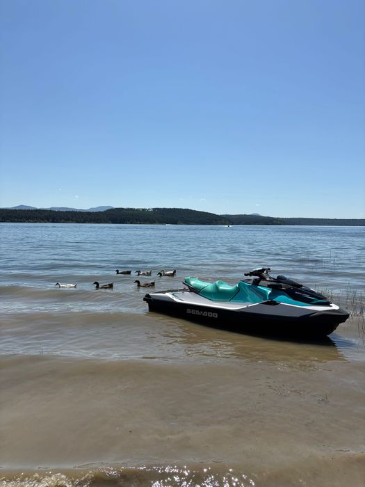 Джет Seadoo 12500 € Май 2023г с нов колисар