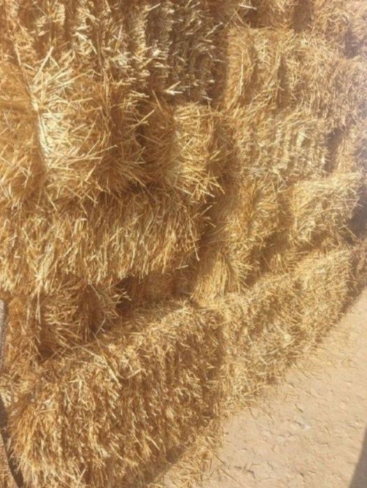 "Somon pres Beda Qamich" Somon mayda gul suvoqqa va Qamich