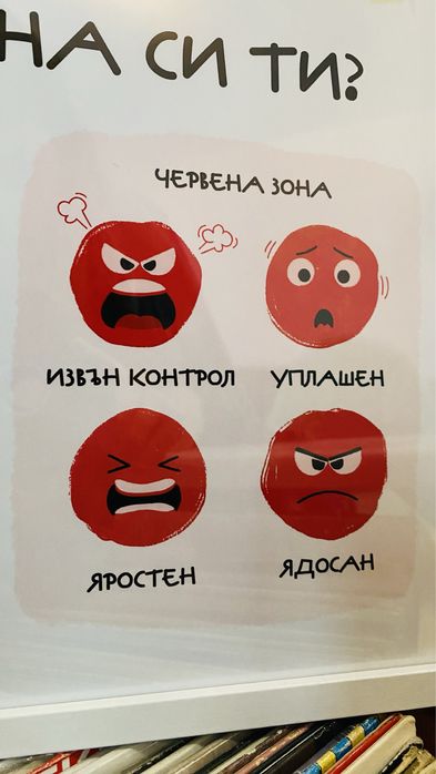 Монтесори постери - Емоции