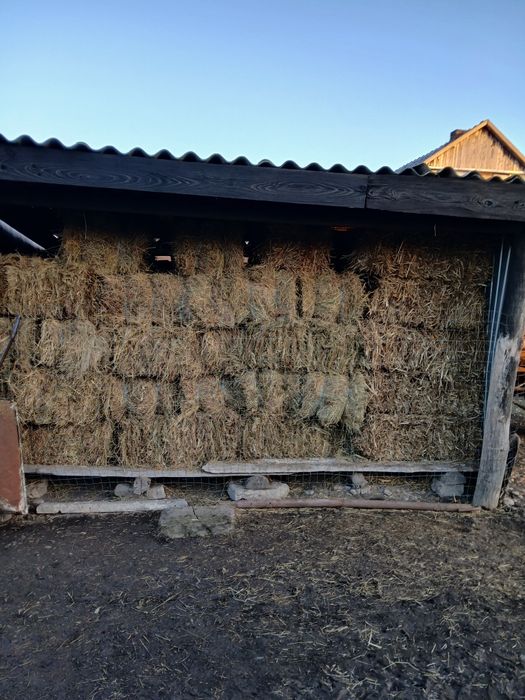 Vând cărucior și baloți de fân