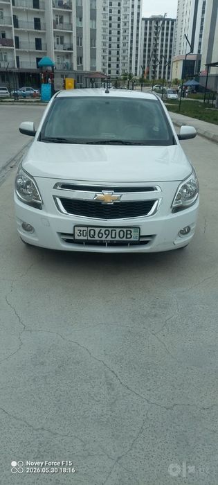 Kobalt yili 2024