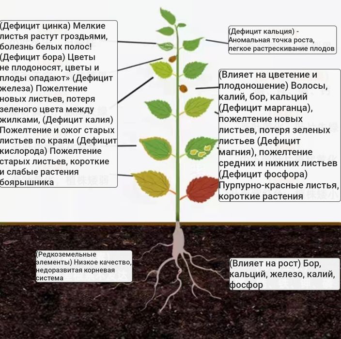 Универсальное удобрение