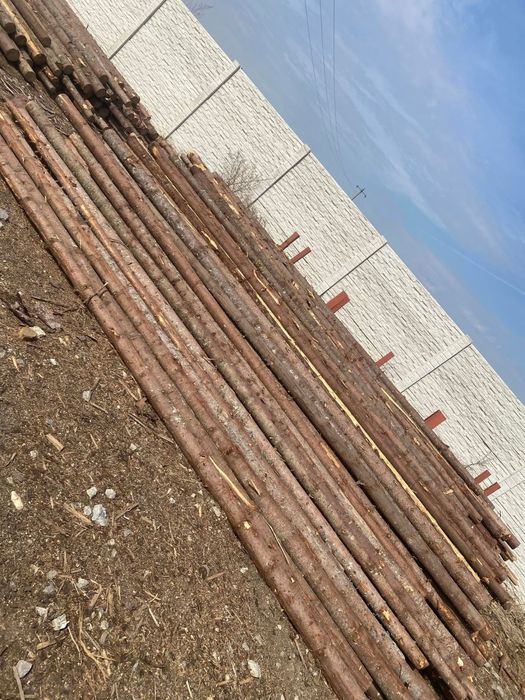 Vand Bile Manele rasinoase