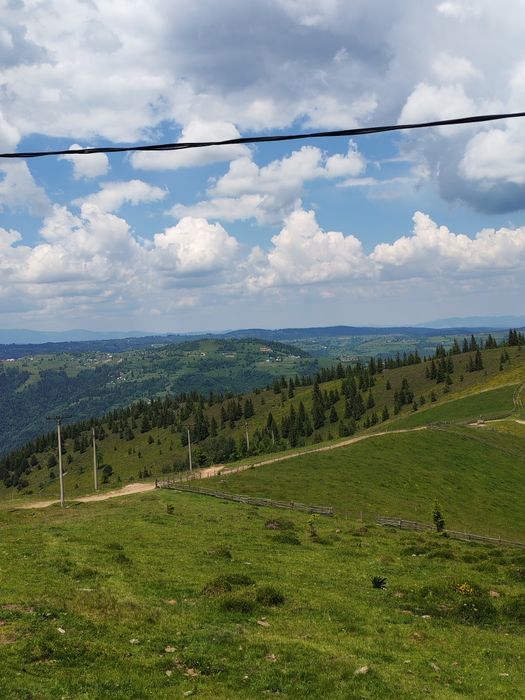 Teren intravilan