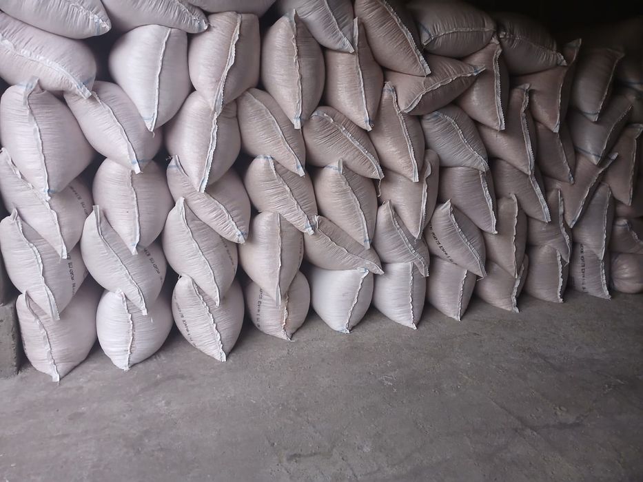 Grâu de panificație