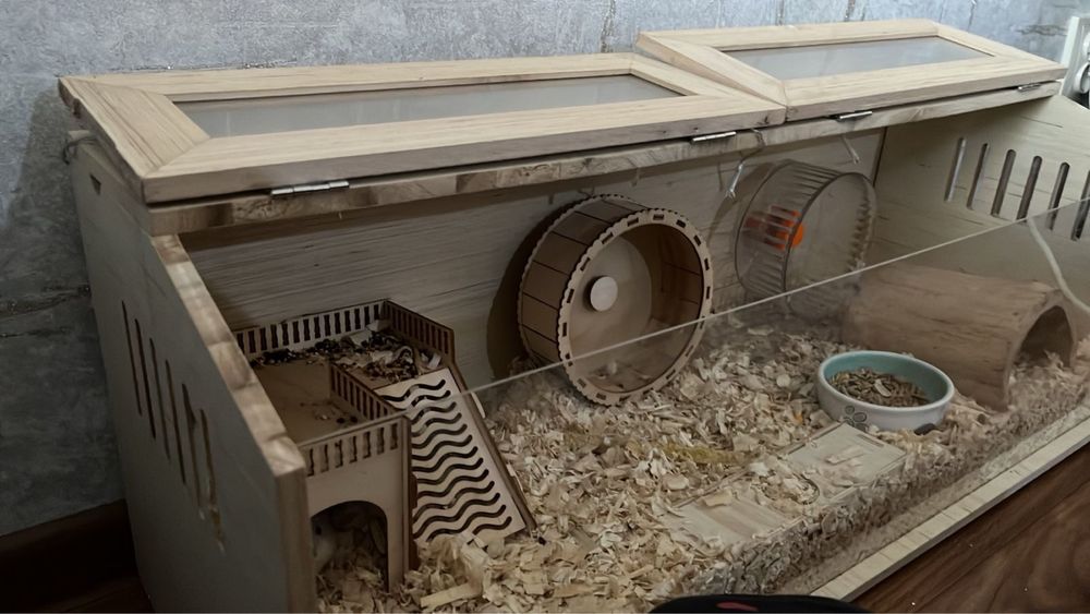 Коробка с хомяками