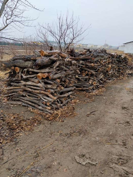 Залдори утин сотилади