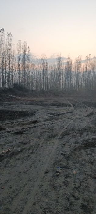 Noturar yer sotiladi