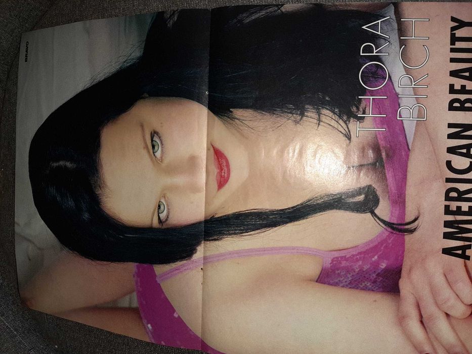 Poster Gaz pe Foc Lucian Viziru/ americam beauty thora birch