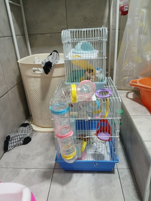 клетки для хамячков