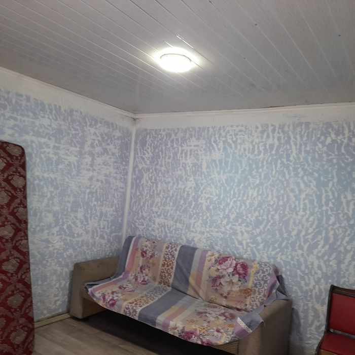 Сақалды ит барда жезөкше көтеріп алды.