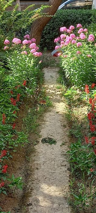 Срочно Своя 2х комнатная кв на Юнусабаде