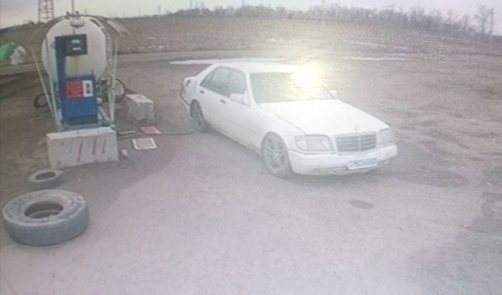 Продам кабанчикв