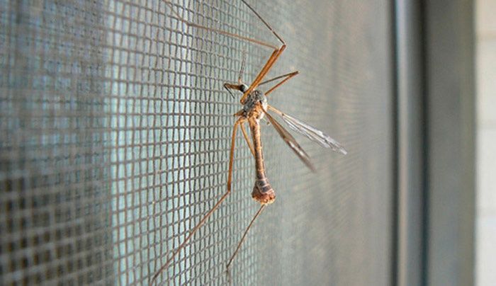 Маскитний сетки  на заказ