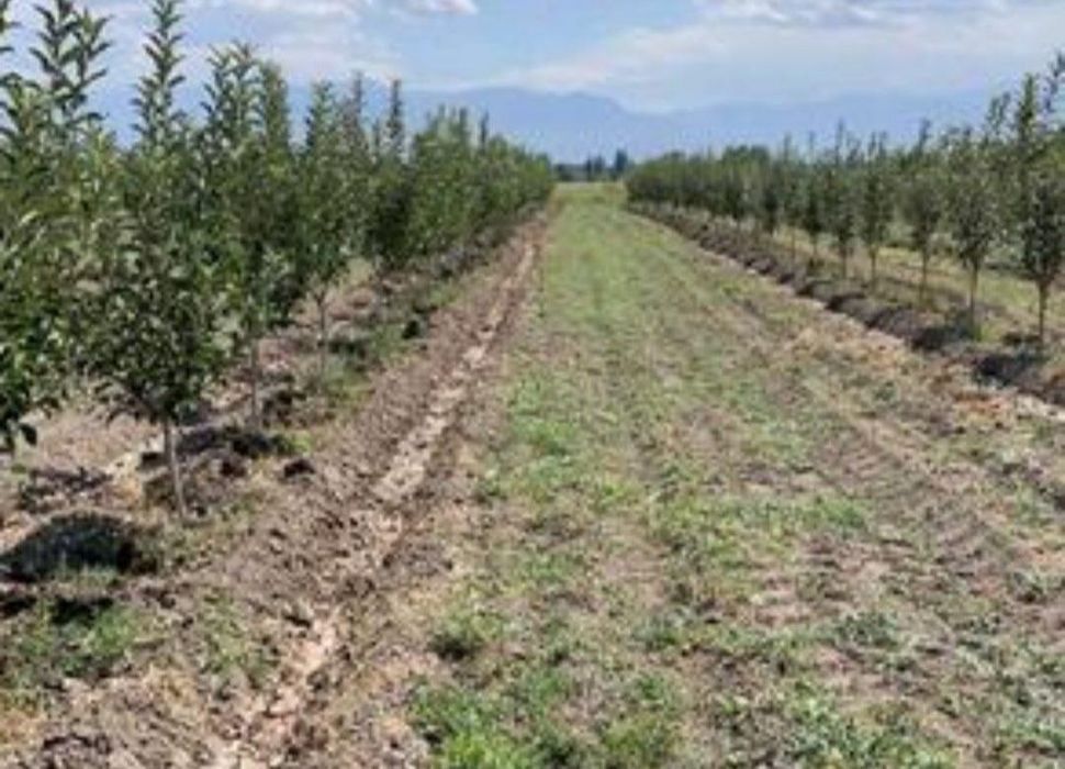 Продам земельный участок