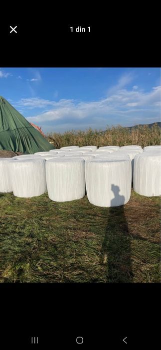 Baloti infoliati coasa 4