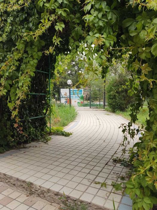 Детский лагерь- грамотная инвестиция!