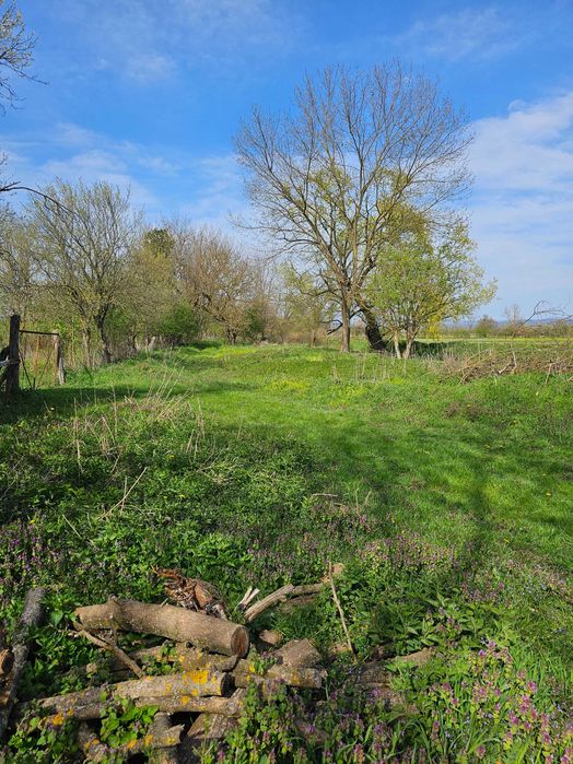 Vand casa cu gradina in sat Tela comuna Bata jud.Arad.