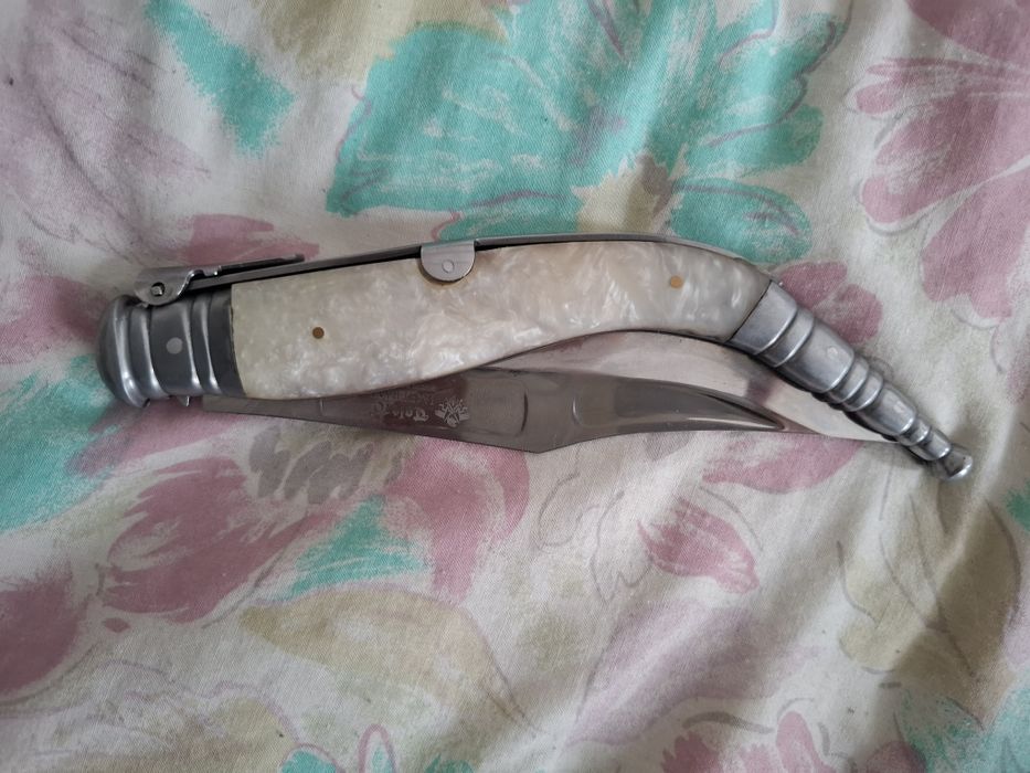 Briceag spaniol cricket