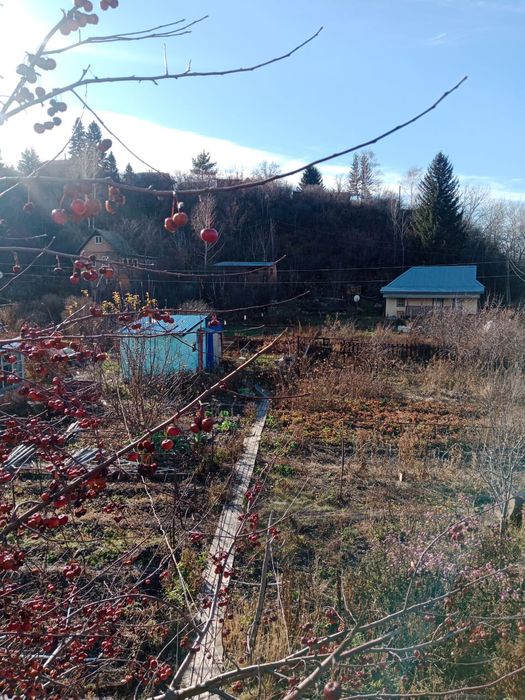 Продам дачу, с полным пакетом документов.