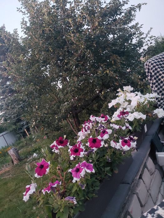 Продам или обменяю дом