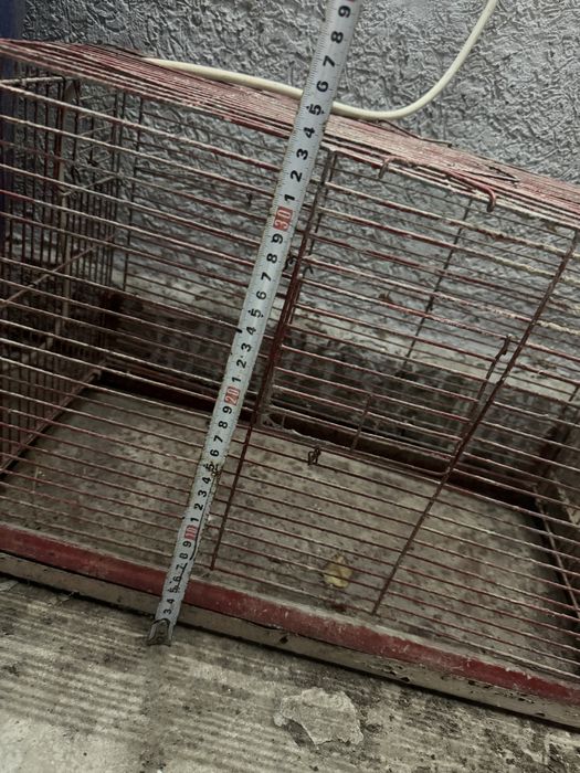 Клетка металический для птиц