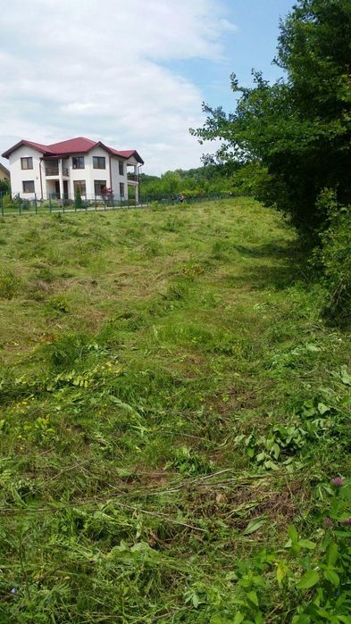 Teren intravilan 3665mp