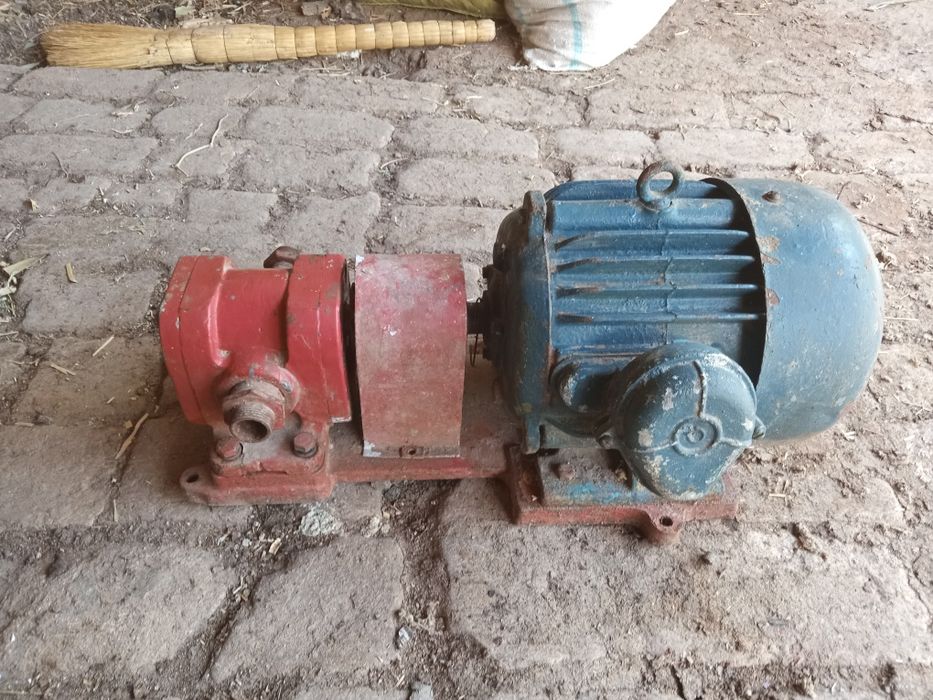 Насос масленный шестерёнчатый г11,24