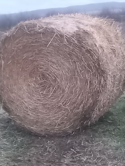 De vânzare baloti de paie