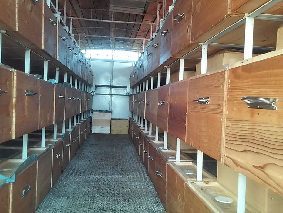 Vând pavilion apicol